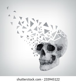 triangle human skull with shadow