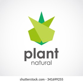 Triangle of nature plant abstract vector and logo design or template environment business icon of company identity symbol concept