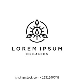 triangle plant logo icon with three abstract leaves inside