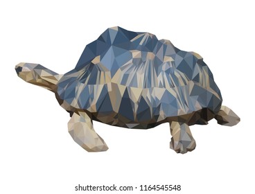 triangle polygonal turtle, geometric polygon reptile, isolated vector animal