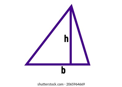 Triangle representing the main tools for calculating the area
