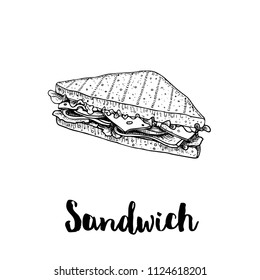 Triangle sandwich with lettuce, ham, cheese and tomato slices. Hand drawn sketch style. Grilled bread. Fast food drawing for restaurant menu and street food package. Vector illustration.
