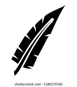 
Triangle shaped beautiful feather conceptualizing flight feather 
