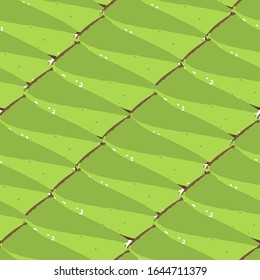 Pieses triangulares de queso de sabor matcha. Vector repetido y sin fisuras
