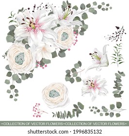 Triangular floral vector composition. White Ranunculus, Japanese buttercup, white lilies, eucalyptus, green plants and leaves. flowers isolated on white background. 