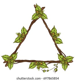 Triangular frame made of branches with leaves and fruits of hazelnut. Vector illustration isolated on white background for design of packaging, labels and other items.