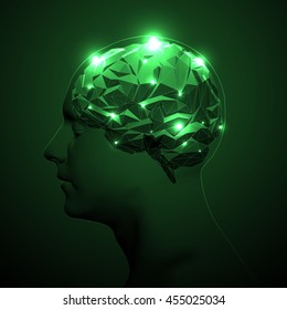 Triangular Polygons Human Brain.