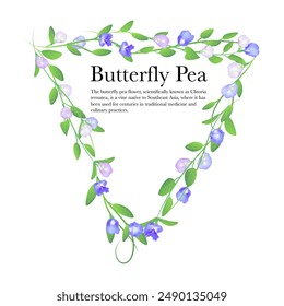 triangular shaped butterfly pea frame isolated on white background