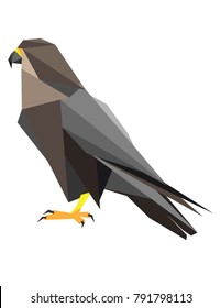 Triangulated Falcon simplified Vector Art