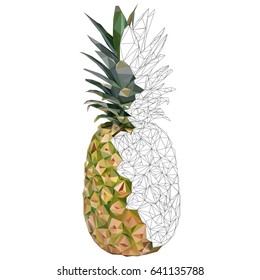Triangulated pineapple. Vector illustration