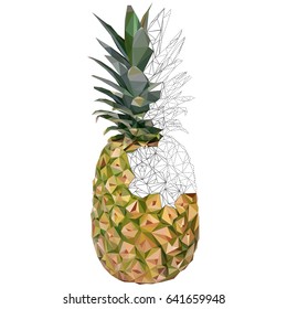 Triangulated pineapple. Vector illustration 