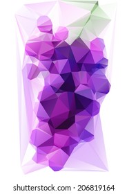 Triangulated Purple Grape