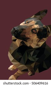 triangulation the dog.triangulation the sheepdog. low poly dog