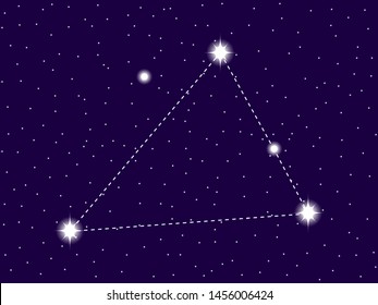 Triangulum Australe constellation. Starry night sky. Zodiac sign. Cluster of stars and galaxies. Deep space. Vector illustration
