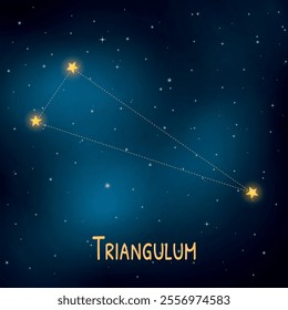 Triangulum constellation against a starry night sky.