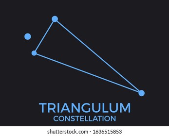 Triangulum constellation. Stars in the night sky. Cluster of stars and galaxies. Constellation of blue on a black background. Vector illustration