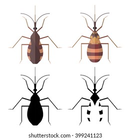 Triatominae skin parasite insect vector bug.