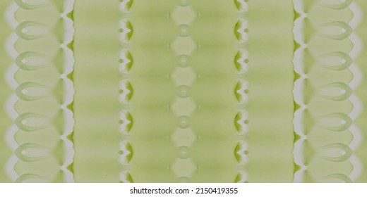 Stammefarbenfarbe. Ikat Gradient Abstrakt. Grünes Stamm Textil. Geo Ethnischer Brush. Ikat Ethnic Brush. Green Repeat Batik. Dyed Dyed Zig Zag. Grüne Vektorfarbe. Ikat Tinte Abstrakt. Dyed Ink Grunge.