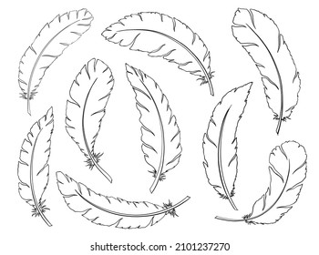 Tribal Feathers line decoration set. Ethnic boho style hand drawing. Vector illustration