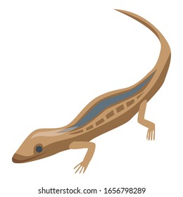 Icono de lagarto tribal. Isométrico ícono vector de lagarto tribal para el diseño web aislado en fondo blanco