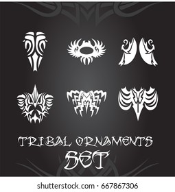 Tribal ornaments and design elements