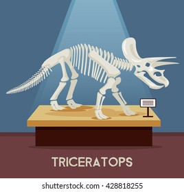 Triceratops bones skeleton in museum exhibition. Vector flat cartoon illustration