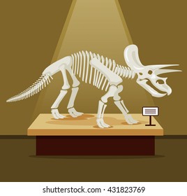 Triceratops bones skeleton in museum exhibition. Vector flat cartoon illustration. Dinosaurs museum