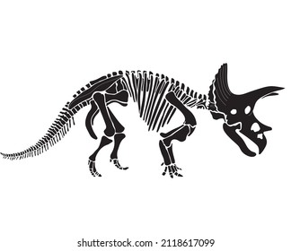 Triceratops dinosaur graphic skeleton on white background, vector triceratops.