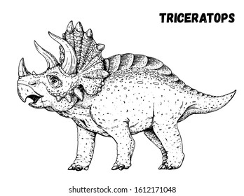 Triceratops dinosaur hand drawn sketch. Vector illustration. Herbivorous dinosaur.