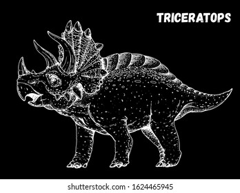 Triceratops dinosaur hand drawn sketch. Vector illustration. Herbivorous dinosaur.