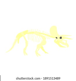 triceratops dinosaur skeleton on white background