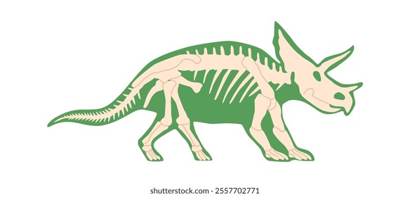 Triceratops dinosaur skeleton vector illustration