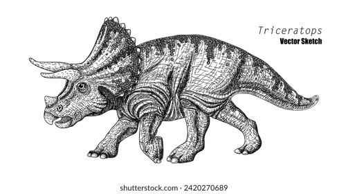 Triceratops. Dinosaur sketch drawing. Black and white. Hand drawn vector art. line art