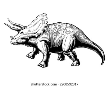 triceratops dinosaur sketch, vector drawing black on white background