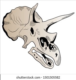 Triceratops dinosaur skull isolate on white background. Card, t-shirt composition, hand drawn style print. Vector illustration.