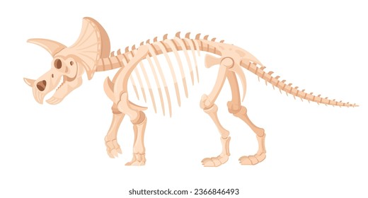 Triceratops fossil. Cartoon dino skeleton, jurassic raptor bones, ancient dinosaur triceratops flat vector illustration. Archaeological fossil skeleton