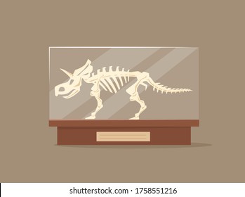 Triceratops in glass showcase cartoon vector illustration. Museum of paleontology exhibit. Dinosaur skeleton flat color object. Prehistoric predator bones on pedestal isolated on brown background