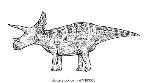 Triceratops illustration, drawing, engraving, ink, line art, vector