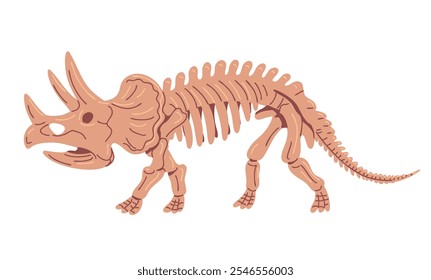 Triceratops skeleton with horns. Large prehistoric lizard. Dinosaur of the Jurassic period. Archeology and paleontology. Bones of an extinct ceratopsian giant. Flat vector illustration on white