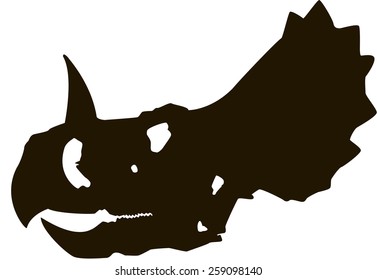 Triceratops skull