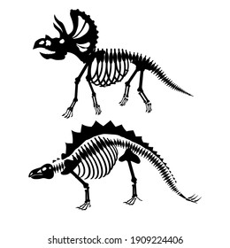 Triceratops und Stegosaurus Dinosaurier Skeleton