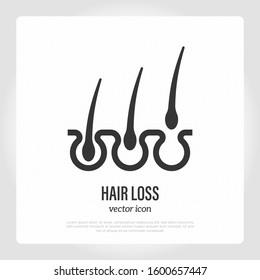 Trichology: hair loss thin line icon. Hair follicles in different cycles. Vector illustration.