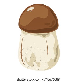 Tricholoma edible mushroom, vector illustration isolated from background