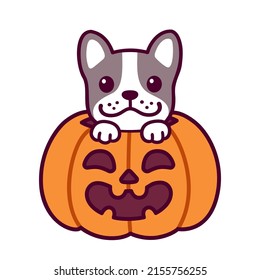 Trick oder Treat. Cute Cartoon Französisch Bulldog zu Halloween Kürbis. Kawaii Hundezeichnung, lustige Vektorgrafik.