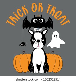 Trick or Treat Halloween set - hand drawn baby bat, spider, boston terrier, and pumpkins.  Good for greeting card, party invitation textile print, and gift design.