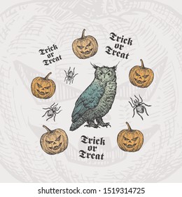 Trick or Treat Halloween Vector Background or Card Template. Hand Drawn Owl and Pumpkins with Spider Sketch and Vintage Typography. Holiday Decorative Composition. Isolated.