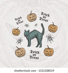 Trick or Treat Halloween Vector Background or Card Template. Hand Drawn Black Cat and Pumpkins with Spider Sketch and Vintage Typography. Holiday Decorative Composition. Isolated.