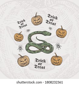 Trick or Treat Halloween Vector Background or Card Template. Hand Drawn Snake and Pumpkins with Spider Sketch and Vintage Typography. Holiday Decorative Composition. Isolated.