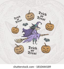 Trick or Treat Halloween Vector Background or Card Template. Hand Drawn Witch on a Broom and Pumpkins with Bats Sketch and Vintage Typography. Holiday Decorative Composition. Isolated.