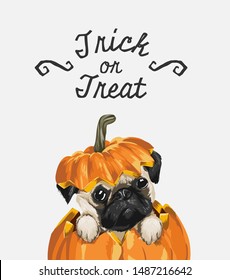 trick or treat slogan with cute pug in pumpkin illustration